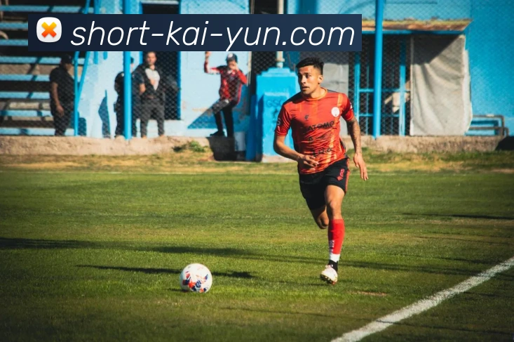 开云app平台生态图