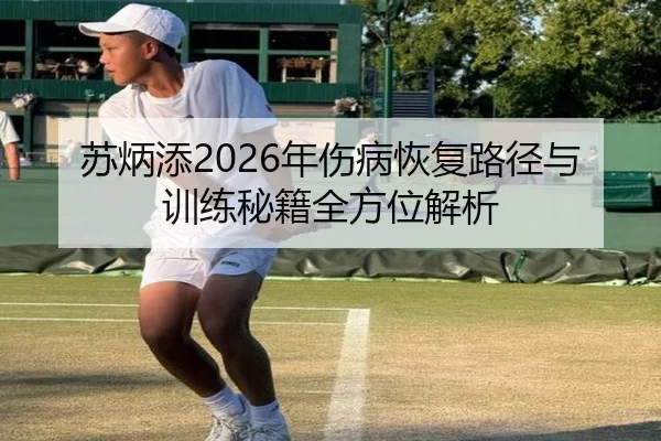 苏炳添2026年伤病恢复路径与训练秘籍全方位解析